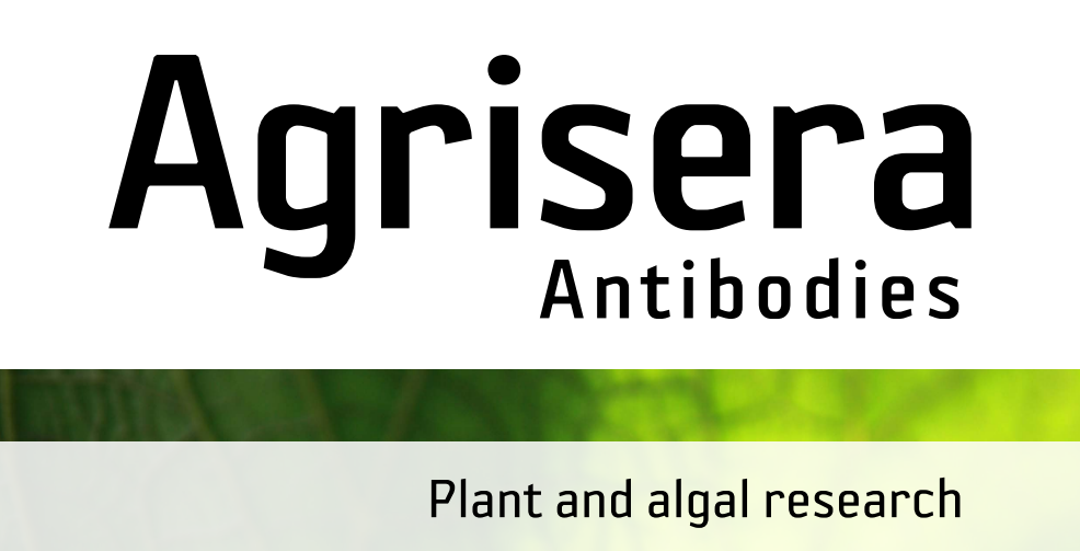 Agrisera MicroRNA相關(guān)研究植物蛋白抗體火熱促銷中！